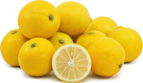  Lemons on a Branch: A Persian Journey into Self-Awareness